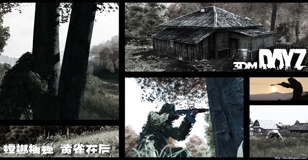 DayZ独立版服务器消失之谜:原因分析与玩家应对指南