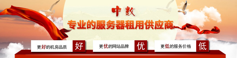 服务器租用与托管的全面解析：业务最佳选择插图