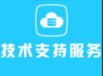 美国服务器技术支持的现状与展望插图