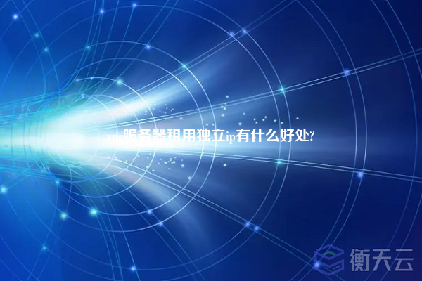 租用美国独立ip有什么优势？插图