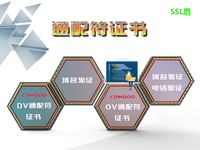 理解Dv SSL 通配符证书,关键要素与应用示例