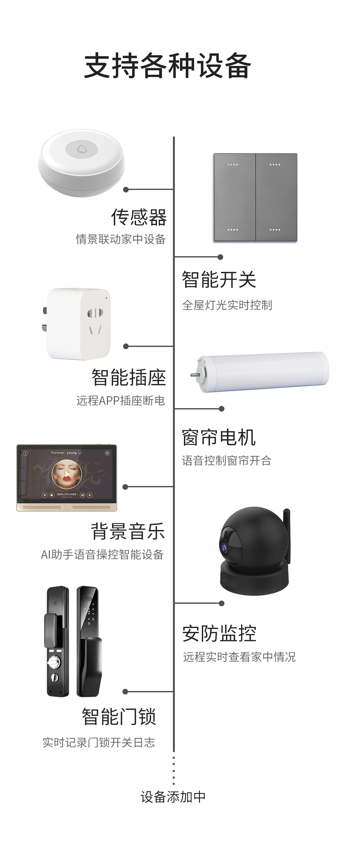 网线独立服务器设置的详细步骤指南插图