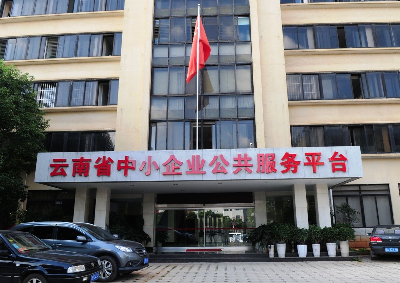 云南服务器市场的挑战与发展建议插图