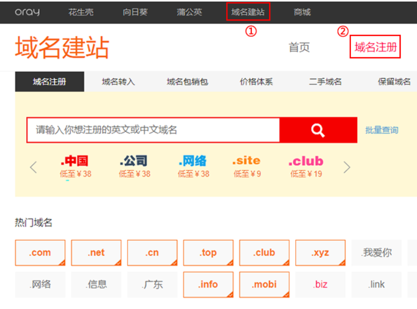 选择个人域名还是企业域名，它们之间有何不同？插图