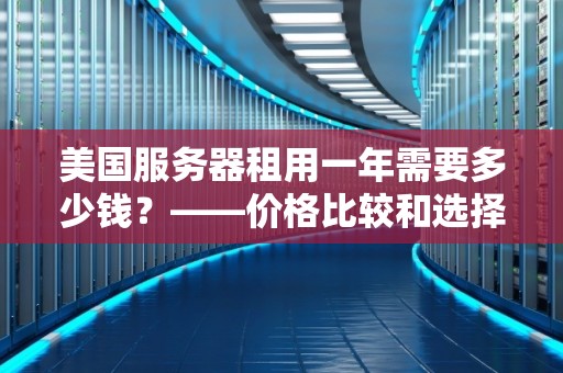 美国服务器租用一年需要多少钱插图
