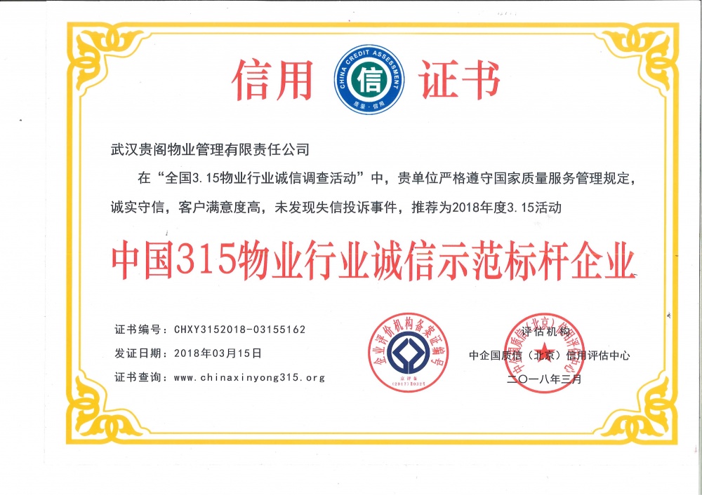 服务器市场中的商业诚信与透明度插图