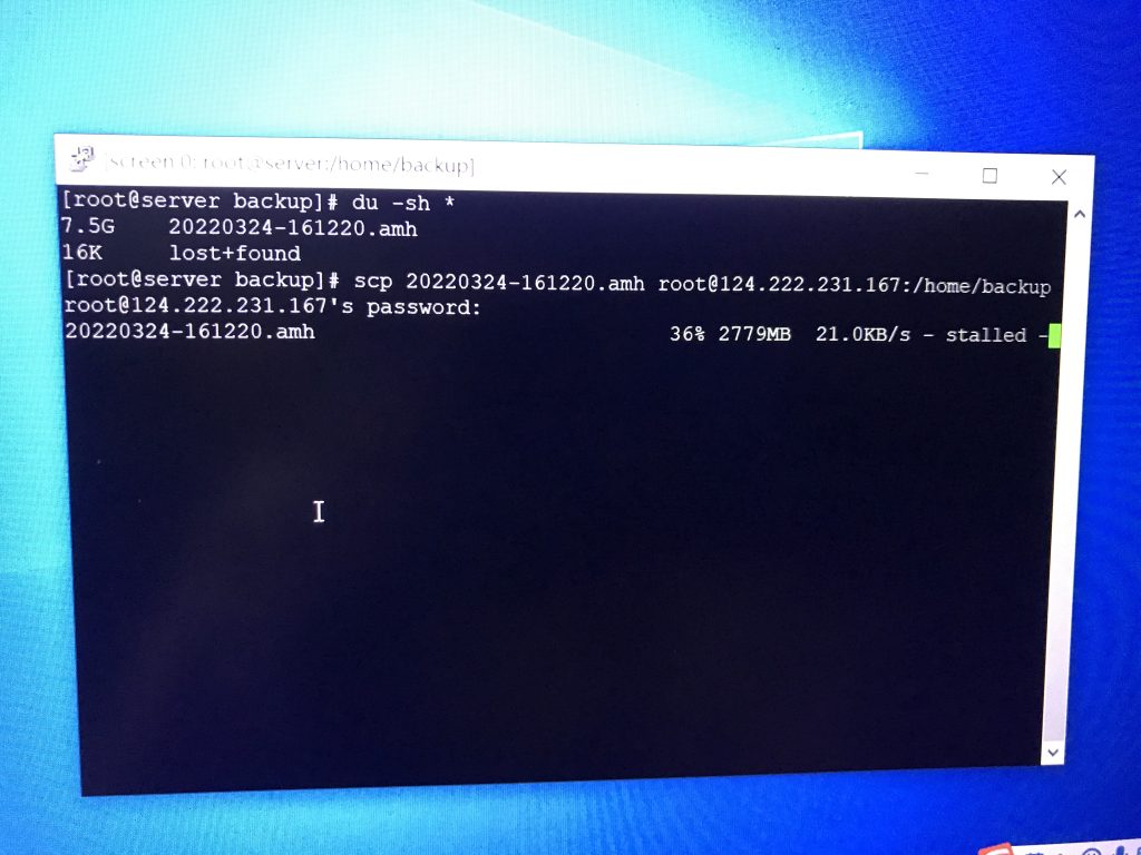 CentOS 8怎么开BBR – 快速提升网络性能的方法插图