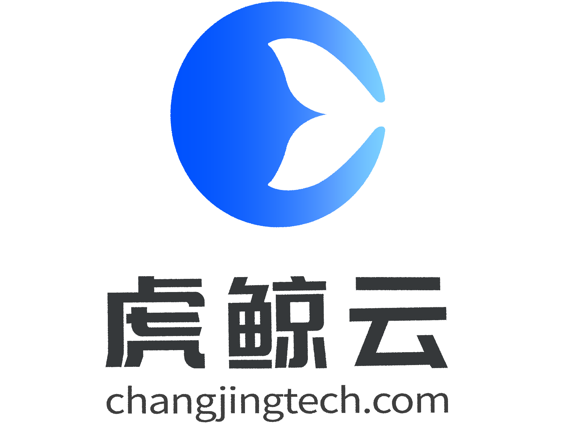 数字化转型,实现灵活性、效率和经济效益的新路径