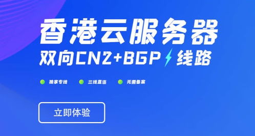 在香港云服务器VPS上部署企业级应用程序的挑战插图