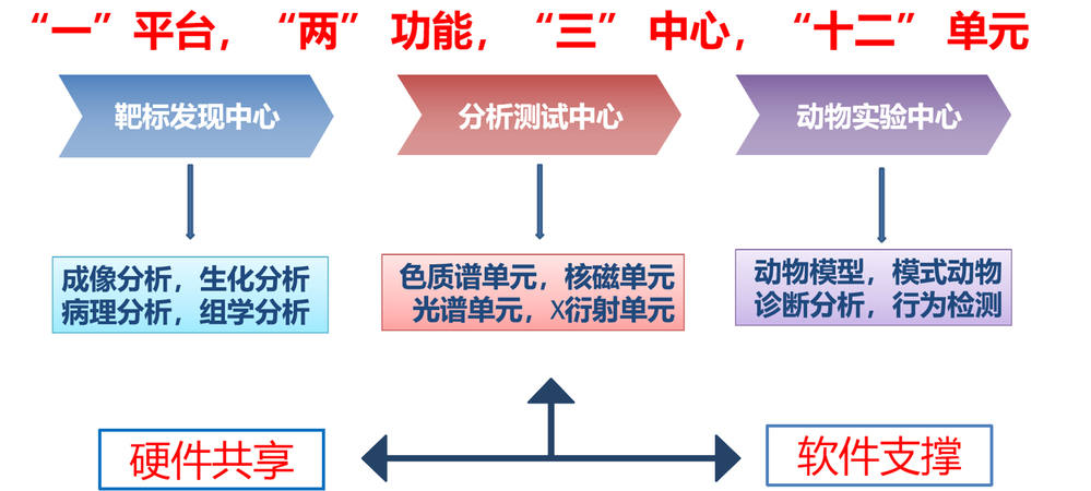 提升在线平台稳定性和效率的策略