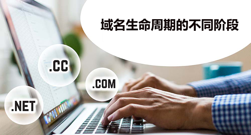 域名注册中的新趋势与变化插图