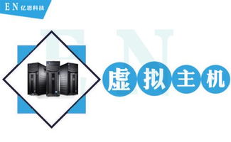 虚拟主机,选择与使用指南