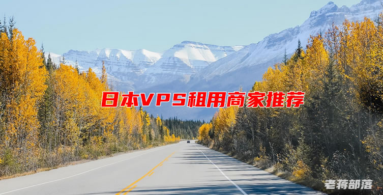 日本VPS租用价格与性能对比分析插图