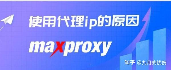 海外代理 IP 在各领域的实际使用案例分析插图