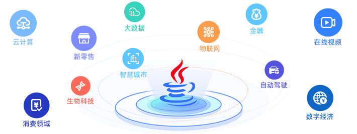 使用Java编程语言开发企业应用插图