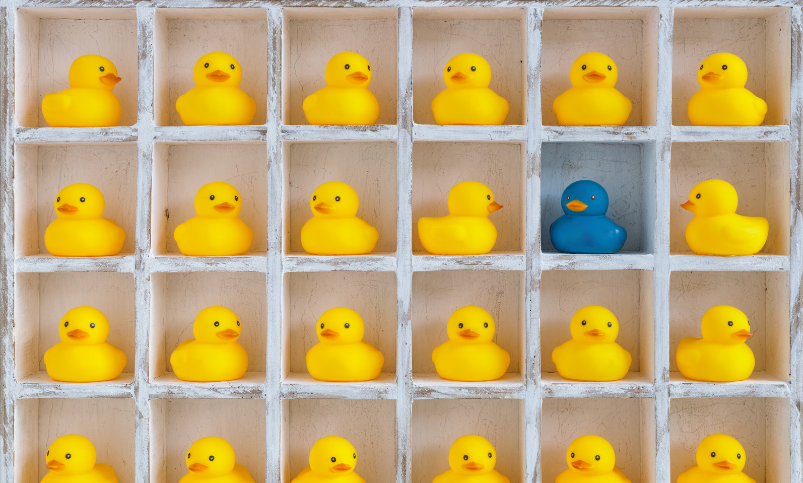 如何选择最适合您在线商店的Shopify主题模版？插图