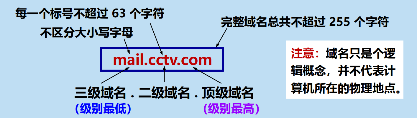 在考虑网站域名时,.top与.net哪个更胜一筹?