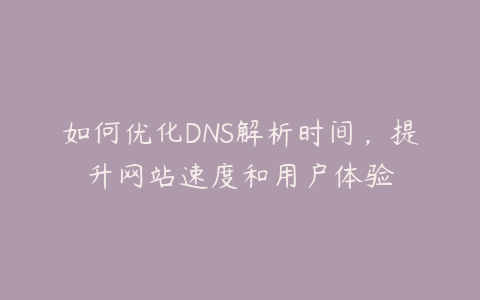 全面解析DNS高防服务器：提升网站安全与稳定性插图