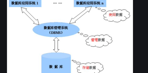数据库管理系统的选择标准插图