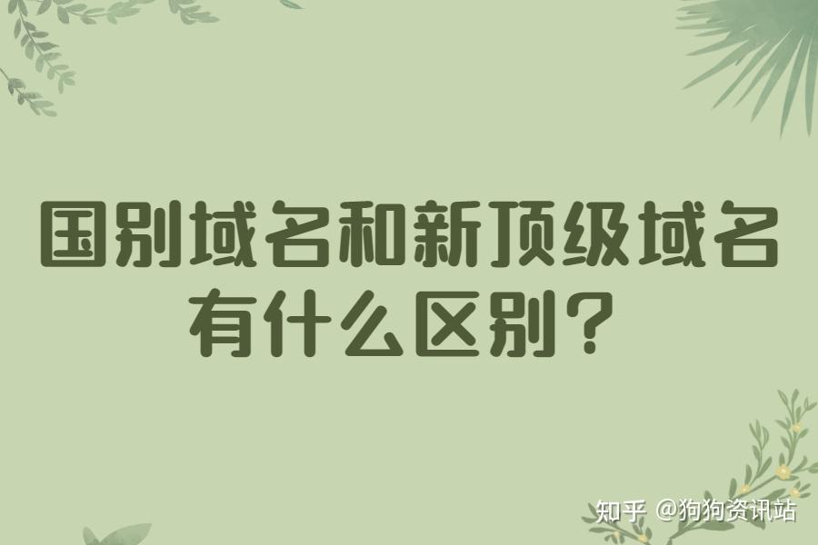 主机头跟域名的区别吗插图