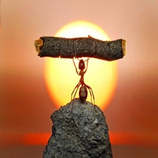 遇到WordPress站点编辑器空白问题时，应该如何解决？插图