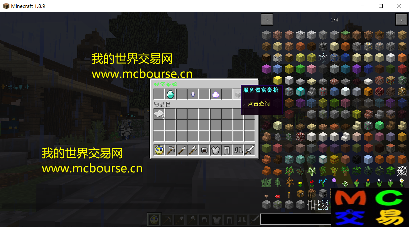 我的世界MC服务器的常见配置插图