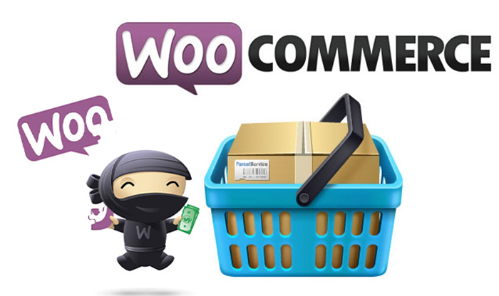 在中国市场上，WooCommerce和Ueeshop哪个电商平台更适合卖家搭建自己的在线商店？插图