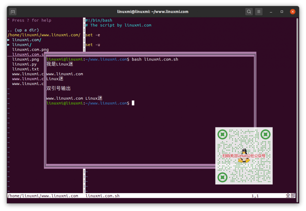 Linux 中的 Bash 编程基础插图