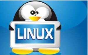 Linux系统的故障与恢复操作
