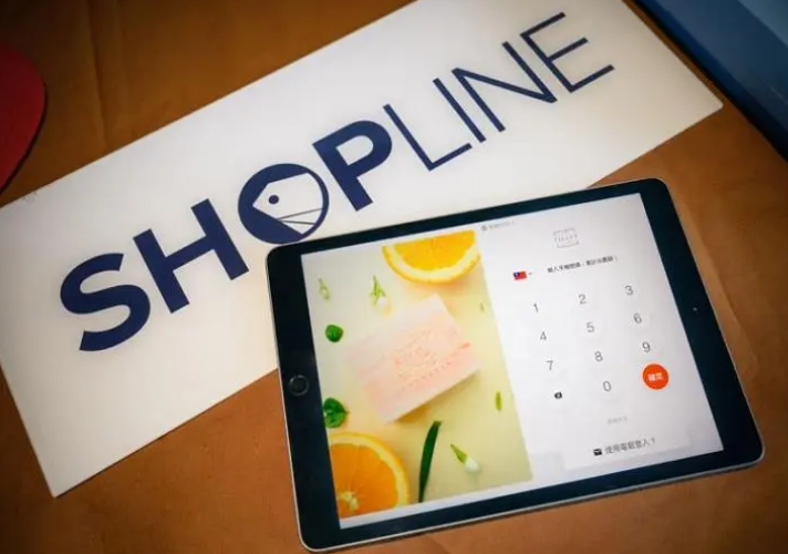 如何利用SHOPLINE打造完美的在线商店？插图