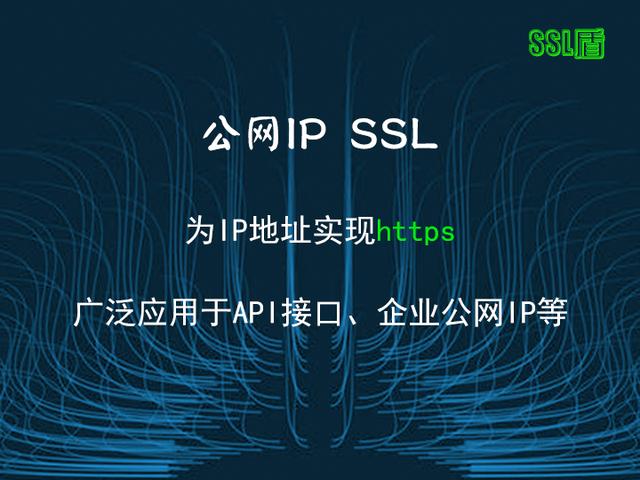 详解基于IP地址的SSL证书技术